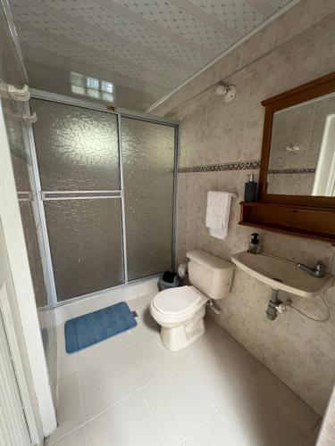 een badkamer met een toilet, een douche en een wastafel bij Finca Villa Antonella in Calarcá