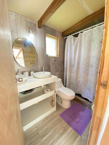 Casa Montaña في فيوترونو: حمام مع مرحاض ومغسلة ومرآة