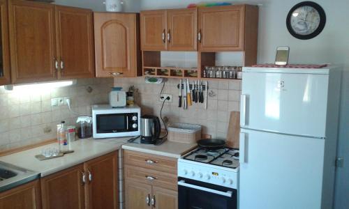 a kitchen with a white refrigerator and a microwave at Chalupy Majer Biffar in Dunajský Klátov