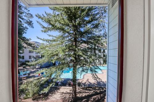 a framed picture of a tree next to a pool at Palisades Tahoe Lodge Rentals Studio #203 in Olympic Valley