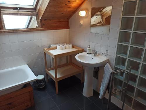 a small bathroom with a sink and a mirror at Dom imprezowy z noclegami Dziecinów in Dziecinów