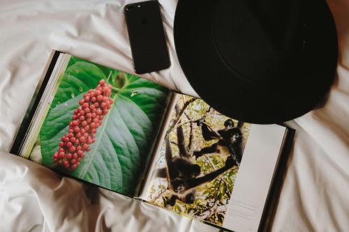 a book with a picture of a bunch of grapes at Docecuartos Hotel in San Cristóbal de Las Casas