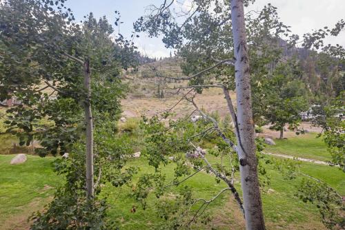 a view of a field from between two trees at Palisades Tahoe Lodge Rentals Studio #248 in Olympic Valley