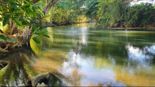 ein Fluss mit grünem Wasser und Bäumen im Hintergrund in der Unterkunft Private River in Petit-Bourg