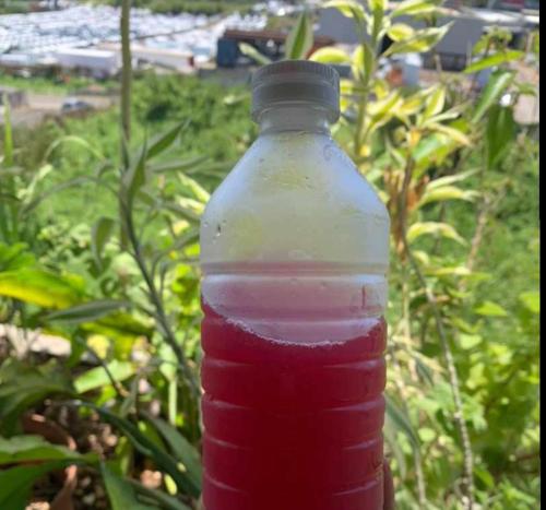 eine mit roter und weißer Flüssigkeit gefüllte Plastikflasche in der Unterkunft Private River in Petit-Bourg