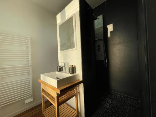 a bathroom with a white sink and a shower at L'oasis d'Enghien-les-bains in Enghien-les-Bains