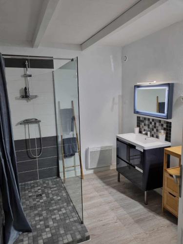 une salle de bain avec une douche, un lavabo et un miroir dans l'établissement Maison charentaise, à Juillac-le-Coq