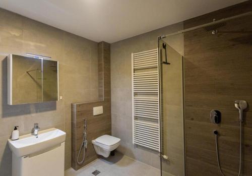 y baño con ducha, aseo y lavamanos. en Deluxe Apartman Grey, en Bjelašnica