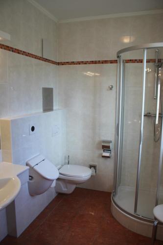 een badkamer met een douche, een toilet en een wastafel bij City Hotel Neunkirchen in Neunkirchen