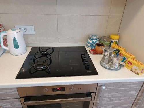 a stove top oven sitting on top of a kitchen counter at Apartmani Janjic in Banja Luka