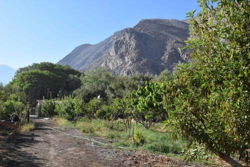 a dirt road with a mountain in the background at Clayhouse Rivadavia in Rivadavia