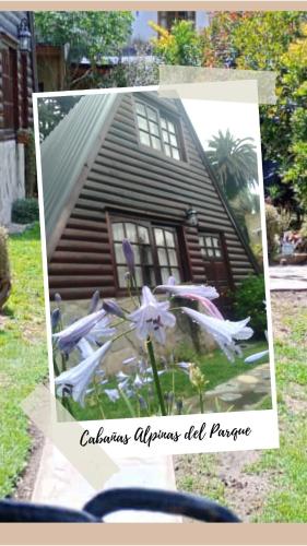 Cabana Alpinas del Parque – Photos 2