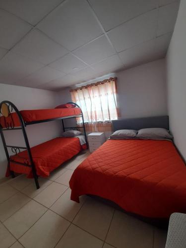 1 dormitorio con 2 literas y ventana en KARIPERU, en Mollendo