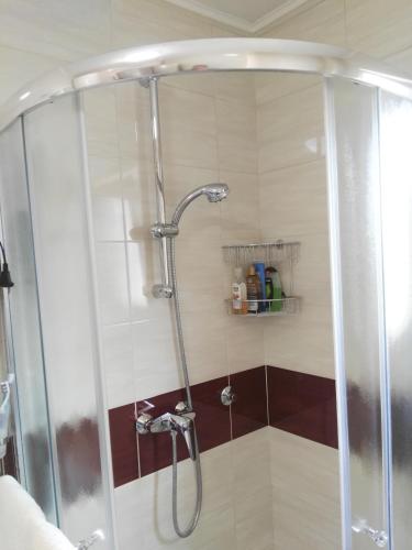 a shower with a glass door in a bathroom at Apartmani Janjic in Banja Luka