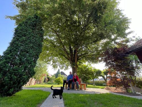 two people sitting on a bench under a tree with a dog at Green Oasis Garden in Šenčur