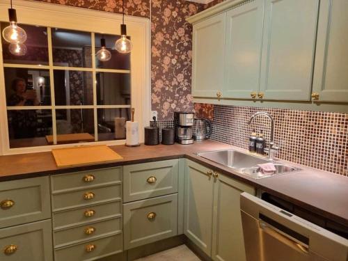 a kitchen with green cabinets and a sink at Solhaug in Torpo