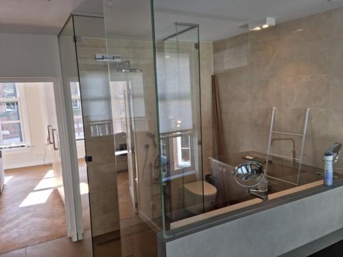 La salle de bains est pourvue d'une douche en verre et de toilettes. dans l'établissement Zwols stadshuis, à Zwolle
