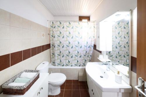 y baño con aseo, lavabo y espejo. en Small Villa Gerani, en Agios Vlasios