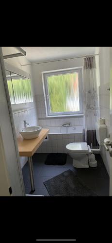 ein Bad mit einem Waschbecken, einem WC und einem Fenster in der Unterkunft Ferienwohnung/Monteurwohnung in Salzgitter