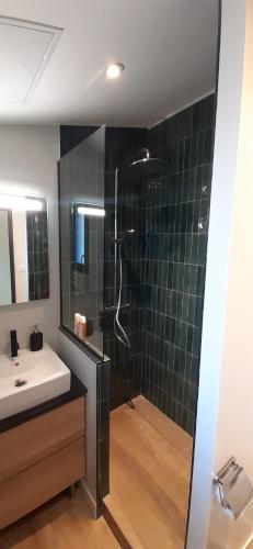une salle de bain avec douche et lavabo dans l'établissement La Griotte - Studio tout confort - Lyon - Tassin, à Tassin-la-Demi-Lune