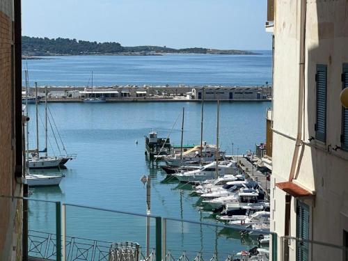 a group of boats are docked in a harbor at Maison Carolina in Vieste