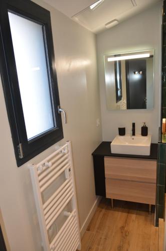 une salle de bain avec un lavabo et un miroir dans l'établissement La Griotte - Studio tout confort - Lyon - Tassin, à Tassin-la-Demi-Lune