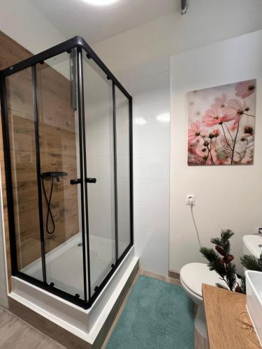 una doccia in vetro in bagno con tappeto verde di Apartman Liška a Martin