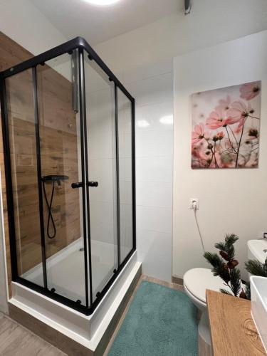 Koupelna v ubytování Apartman Liška