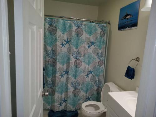 łazienka z zasłoną prysznicową i toaletą w obiekcie comfy cozy roomy w mieście Schenectady