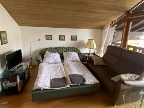 ein Wohnzimmer mit einem Sofa und einem TV in der Unterkunft Ferienwohnung Partenkirchen in Garmisch-Partenkirchen