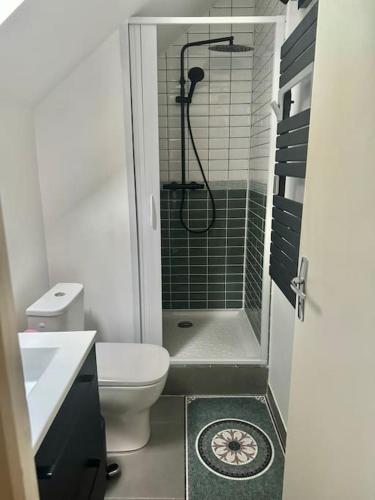une petite salle de bain avec toilettes et douche dans l'établissement Cosy Maisonette Versailles, à Versailles