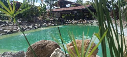 una piscina de agua con rocas delante de una casa en Hotel oBeja negra Muki, en Pitalito
