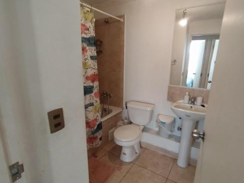 a bathroom with a toilet and a sink at Vista los poetas in Temuco