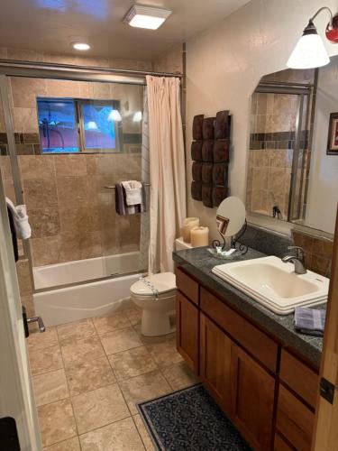 a bathroom with a sink and a toilet and a shower at Lake Tahoe Luxury Guest Quarters in South Lake Tahoe