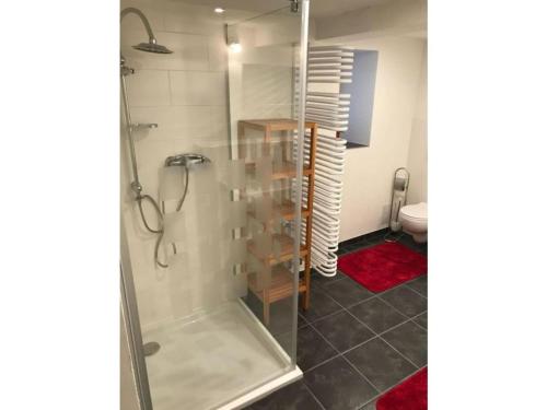 a shower with a glass door in a bathroom at Vincent family holiday home in Niederdorf
