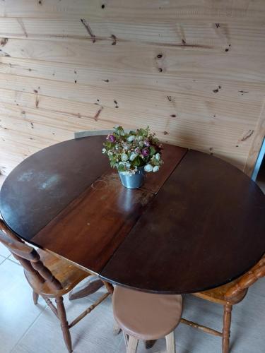 una mesa de madera con dos plantas encima en Casa de Praia, en Cidreira