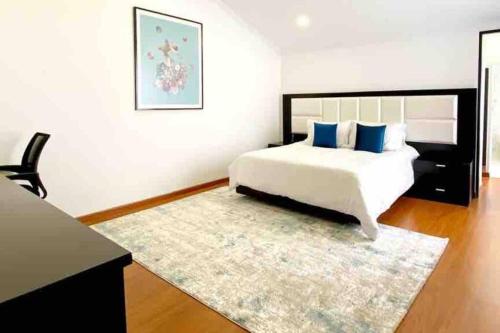 een slaapkamer met een bed met blauwe kussens en een tapijt bij Armonía Casa Spa in Bogota