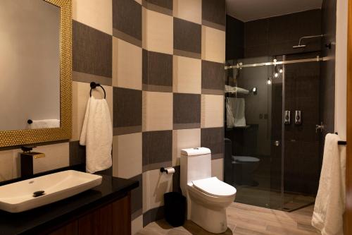 W łazience znajduje się toaleta, umywalka i prysznic. w obiekcie Casa Mia Suite San Juan de los Lagos w mieście San Juan de los Lagos