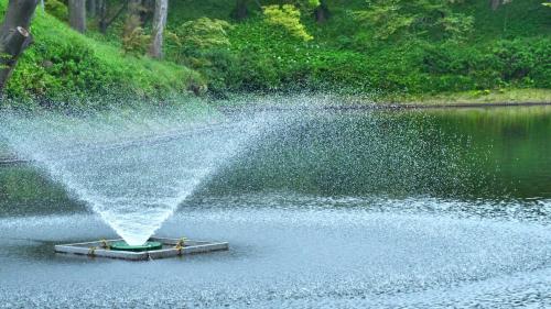 a fire hydrant spraying water into a lake at Toyoko Inn Joetsu myoko eki Nishi guchi in Joetsu