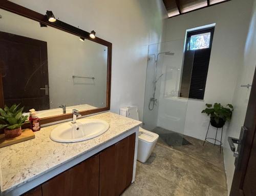 a bathroom with a sink and a toilet and a mirror at Highbury Colombo Cottage in Colombo