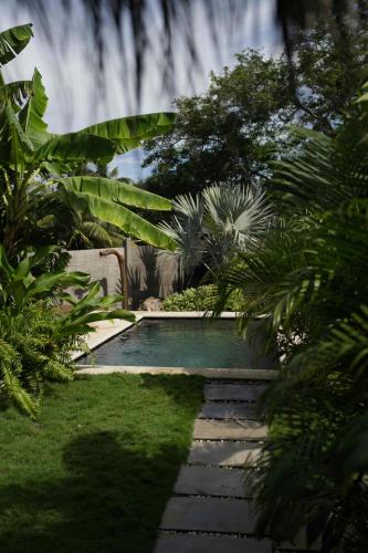 ein Swimmingpool mitten in einem Garten in der Unterkunft Casa MexiBali, Suite Mexi in Troncones