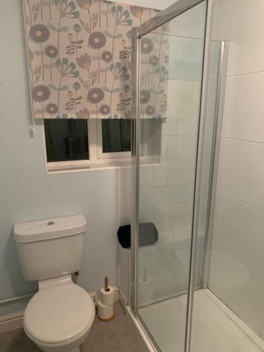 uma casa de banho com um WC e um chuveiro em Spar Court One bed apartment em Burton upon Trent
