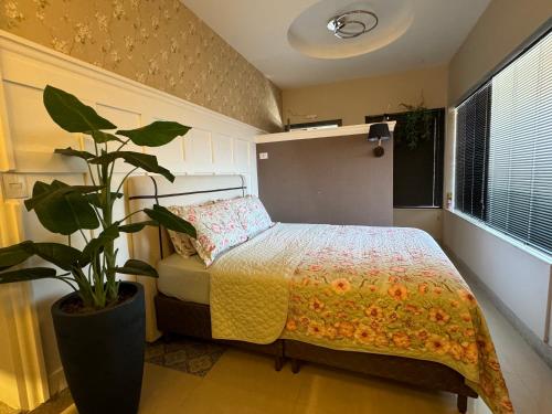 Hotel APART Zuccolotto 1 في أراكروز: غرفة نوم مع سرير وزرع الفخار