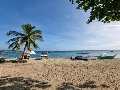 a beach with a palm tree and boats on it at Yemaya de Laiya powered by Cocotel in Biga