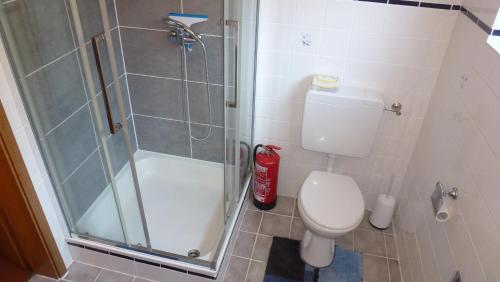 y baño pequeño con ducha y aseo. en Ferienwohnung Petersen - Wohnung 1 en Uelvesbüll