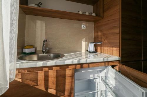 a kitchen with a sink and a refrigerator at Studio Apartments Maksimović in Niš