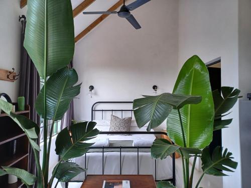 a bedroom with a bed and two large green plants at Little Fields Country House and Cottages in Howick