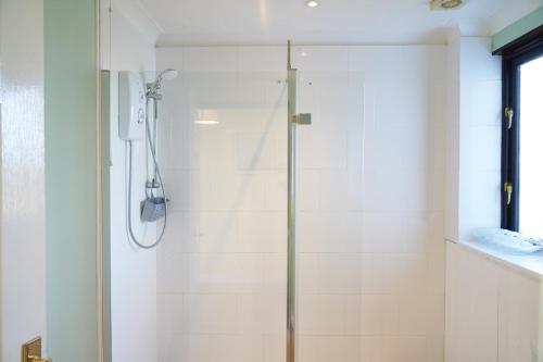 een douche met een glazen deur in een badkamer bij Swift Cottage, Norfolk Broads in Potter Heigham