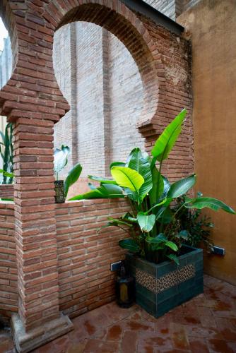 Giardino di Hotel Lincoln Lounge