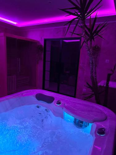 a purple room with a tub with a palm tree at Au Wachtfels in Obersteinbach